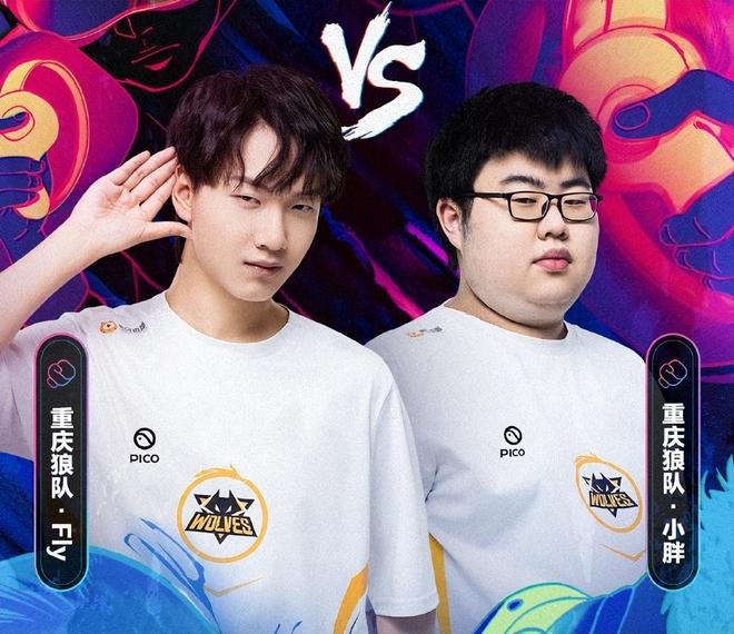 引了多家企 引了多家企